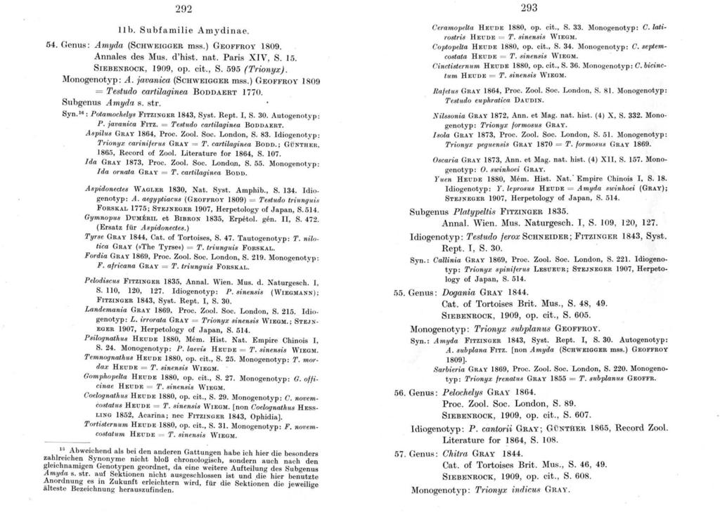 11 b. Subfamilie Amydinae. 54. Genus : Amyda (SCHWEIGBER mss.) GEOFFROY 1809. Annales des Mus. d'hist. nat. Paris XIV, S. 15. SIEBENROCK, 1909, op. cit., S. 595 (Trionyx). Monogenotyp : A.