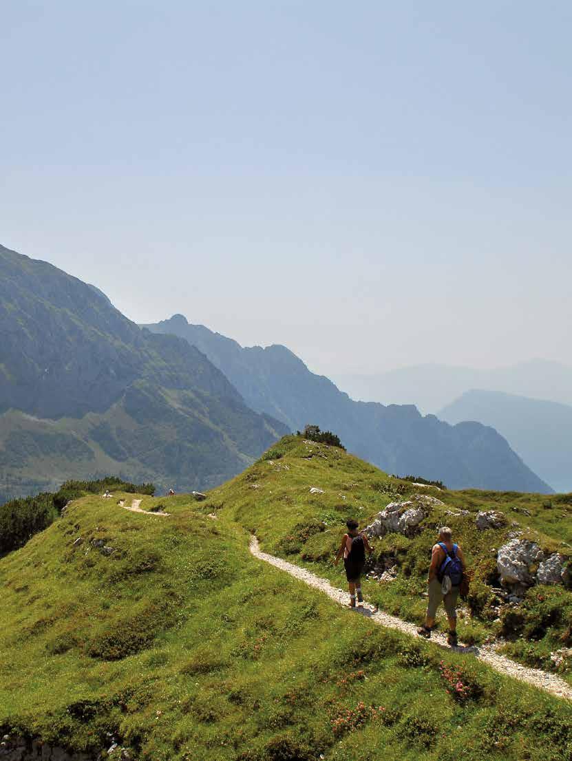 Auf dem Gipfel Intensive Erlebnisse fernab vom Alltag Wer es hochalpin mag, der trekkt durch die nahen Brenta-Dolomiten.