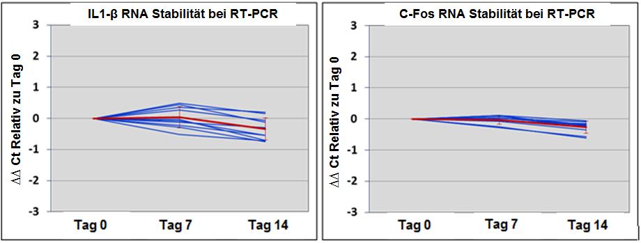 Figur 2: Analyse der IL1- und C-Fos RNA, erhalten von menschlichen Blutproben, die in RNAgard Blutröhrchen entnommen und gelagert wurden, durch RT-PCR.