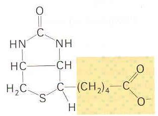 Aufgabe 6 (3 Punkte) Geben Sie die Reaktionsgleichung der Glycerinaldehyd-3-phosphat-Dehydrogenase mit Substraten und Produkten (mit Strukturformeln) (2