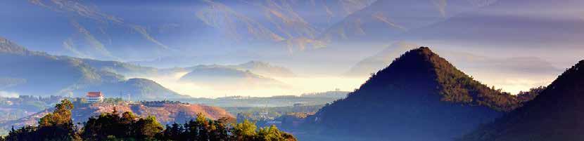 Rundreisen und Informationen Die Highlights, Taroko-Nationalpark, Sun Moon Lake und Alishan 5 Tage / 4 Nächte ab/bis 4. Tag: Sun Moon Lake - Alishan (F) Fahrt durch die grünen Berge von Taiwan.