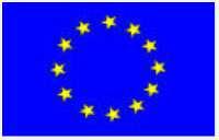 Umsetzung in den EU-Mitgliedstaaten Rahmenrichtlinie Sicherheit und