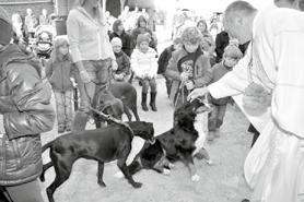 Zum Backen verwendeten die Frauen die großen Backutensilien mit denen sie schon einmal in Pentlings französischer Partnerstadt Civrieux d`àzergues Küchel herstellt hatten.