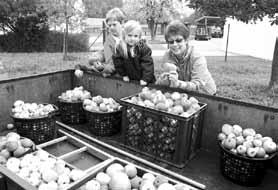 Nachdem das Obst feinsäuberlich gewaschen war, haben die beiden Vorstände Hans Wechselberger und Peter Ritthaler das Obst gepresst und in 10