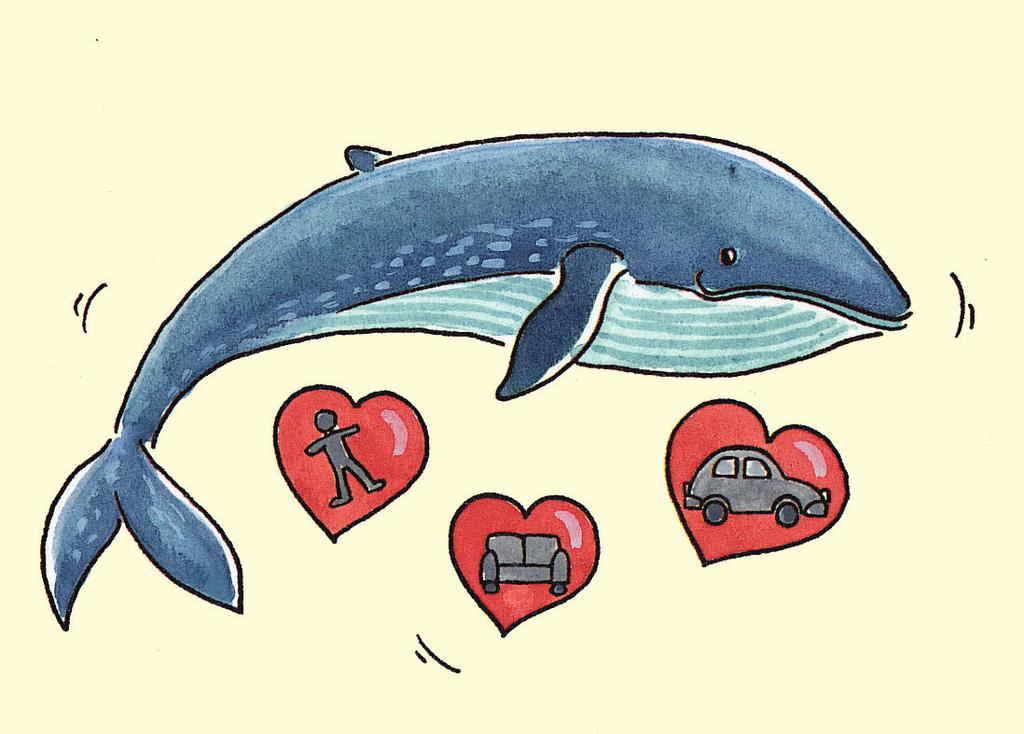 0033 18.01.2018 17411-1 Maus-Abreißkalender 2018 Wie groß kann das Herz eines Blauwals werden?