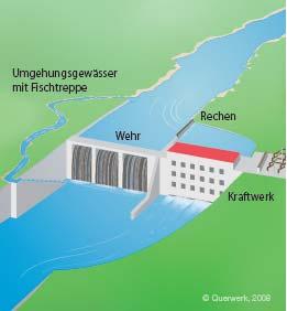Laufkraftwerke Unterbrechen das Flusskontinuum durch Hindernisse und Stillwasser Beeinträchtigen Qualität