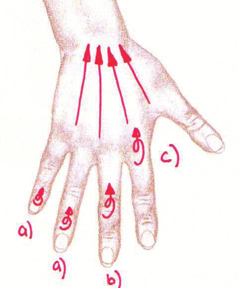 Mit den Fingerbeeren des Daumens und Zeigefingers, die eine Zange bilden, folgende Griffe ausführen: a) Nagelbett mit Nagelhäutchen und Nagel- oder Fingerglied umkreisen (3x).