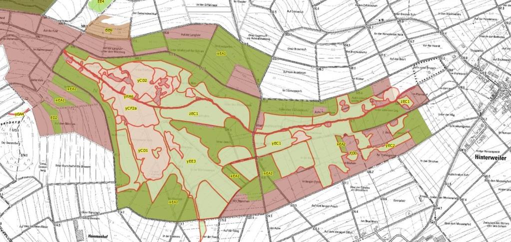 Beispiel: Kirchweiler Rohr Auszug aus dem Biotopkataster + Abgrenzung FFH-Gebiet Quelle: LANIS 2013 Optimale Erfassung und