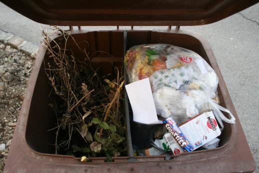 1 Sammlung und Logistik Die Sammlung von organischen Abfällen erfolgt im Bezirk Mödling über unterschiedliche Sammelebenen: Küchenabfälle werden gemeinsam mit geringen Grün und Strauchschnittmengen