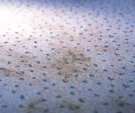 Hartnäckige Verschmutzungen auf dem Teppichbodenbelag vor der Reinigung Reinigung mit RAPIDO TEPPICH-REINIGUNGSPULVER WARUM?
