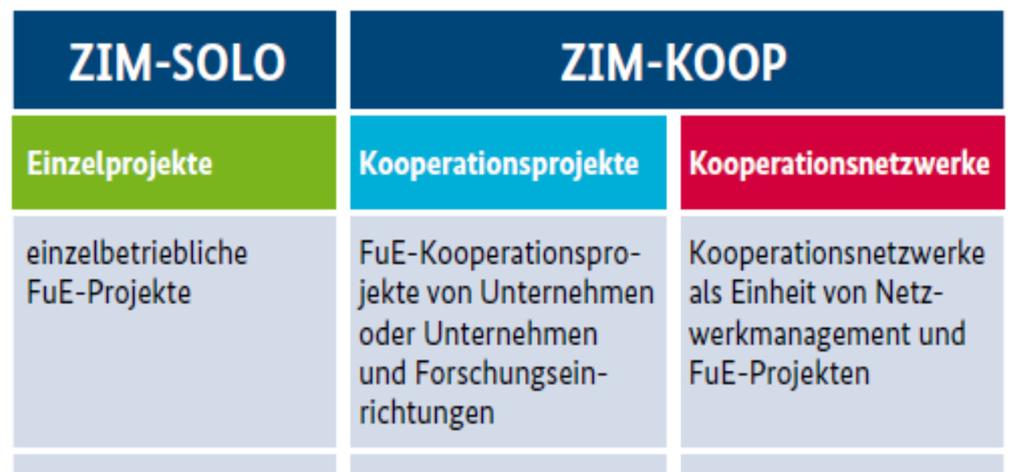 ZIM (BMWi) Programmmodule und -träger ZIM-EP
