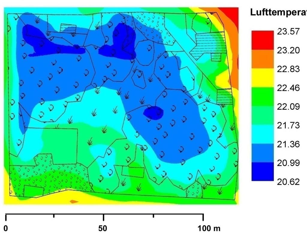 Klimamodellierungen I Modellierung (ENVI-Met, TU Dresden) LuftT C Modellierung des durchschnittlichen Temperaturverhaltens einzelner Stadtvegetationsstrukturtypen Potenzielle Abkühlungseffekte