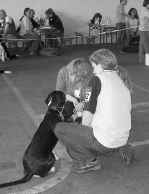 Was in unserer Familie noch fehlte, war unser Entlebucher Sennenhund Asco, der seit Ostern 2006 bei uns wohnt und mit dem wir viel Spaß haben.