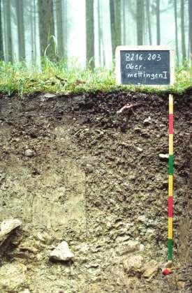 Bodenparameter Bodenprofilbeschriebe, Horizontkennwerte