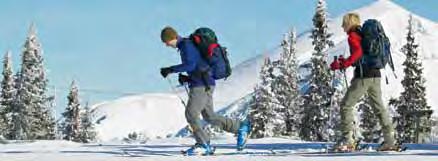 Spuren im Schnee Wintersport abseits der Piste Semmering-Rax Wiener Alpen Sich abseits der Piste zu bewegen, bedeutet auch, dass man Sicherheitsvorkehrungen zu treffen hat. Die Profis (z.b. www.