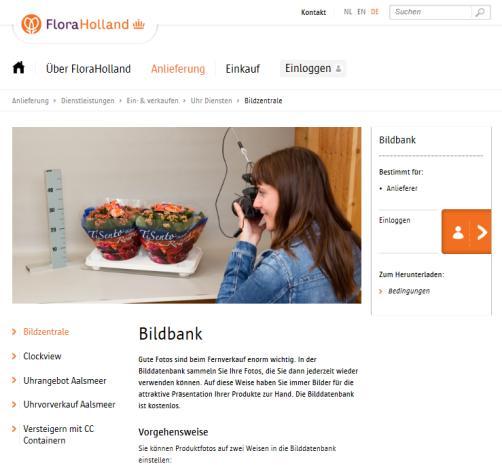 FloraHolland Bilddatenbank (6/11) Meine Webdienstleistungen Bildzentrale abonnieren.
