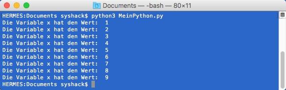 Python Script ausführen Um das Python Programm zu starten, «python3» gefolgt vom vollständigen Dateinamen eingeben und mit ENTER starten.
