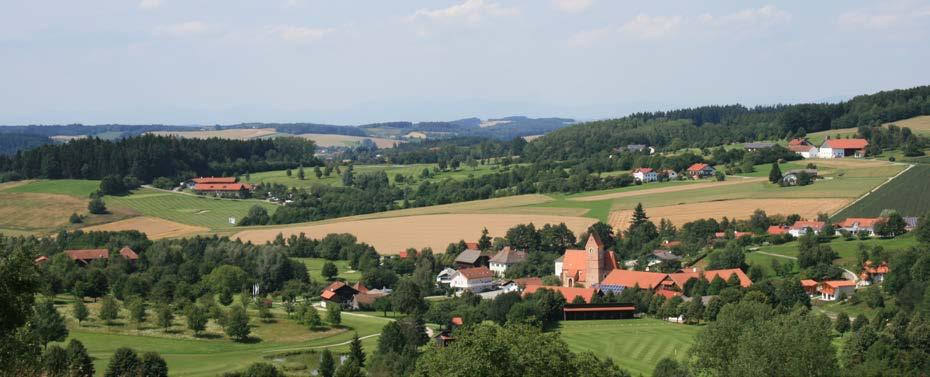 Fachbeitrag zum Landschaftsrahmenplan der Region Donau-Wald (12) Landschaftsplanerisches Fachkonzept mit Fachbeitrag des Naturschutzes und der Landschaftspflege für den