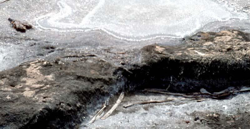 Salzgewinnung in Meerwasser-Salinen. Bild 4.