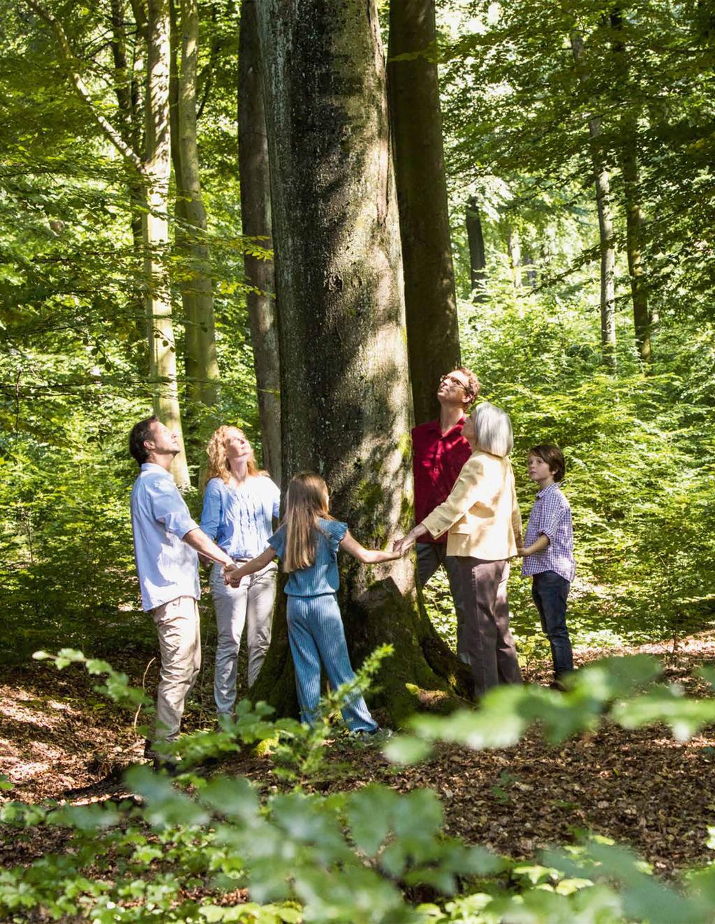 Mit der Familie Regelmäßig fährt Hilde mit der Familie in den Wald.