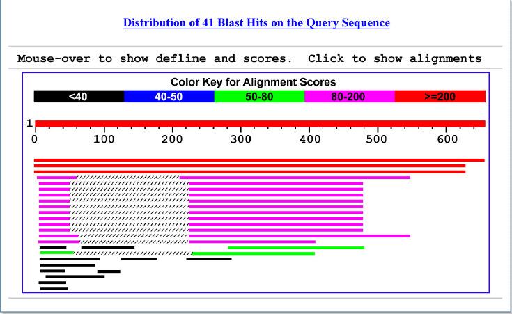 BLAST graphische Alignmentansicht beste Treffer je 2 getrennte Treffer auf derselben Sequenz