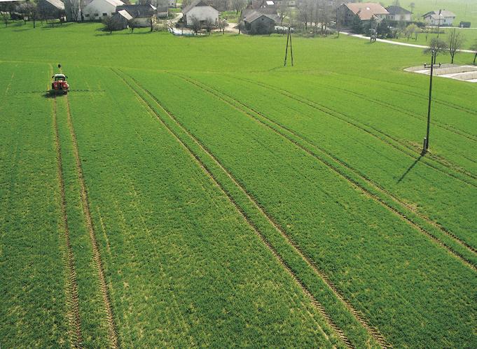 Zahlungsansprüche Wie viel Sie höchstens dafür bieten dürfen Foto: agrarfoto.