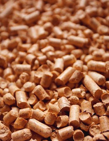 PELLETS Pellets - der unkomplizierte Brennstoff Erdöl und Erdgas werden als Rohstoff für technische Werkstoffe zunehmend wertvoller und teurer.