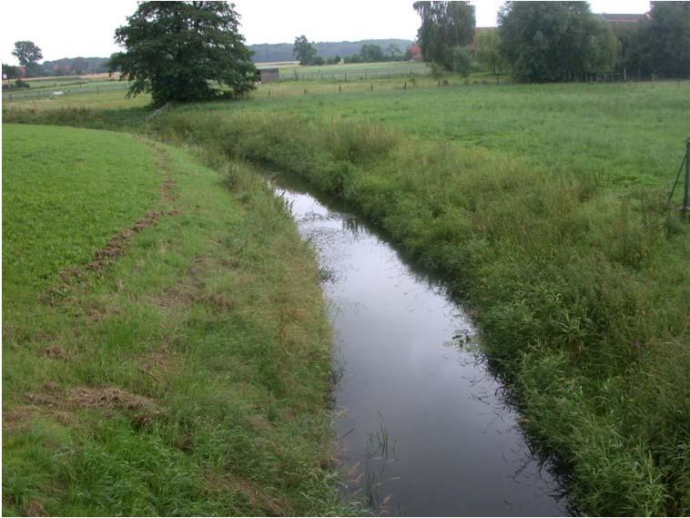 Ein kleiner Bach im Tiefland zeigt folgendes Bild: Die Fließgeschwindigkeit ist einheitlich. Die Gewässersohle zeigt eine gleichförmige Verteilung der verschiedenen Substrattypen.