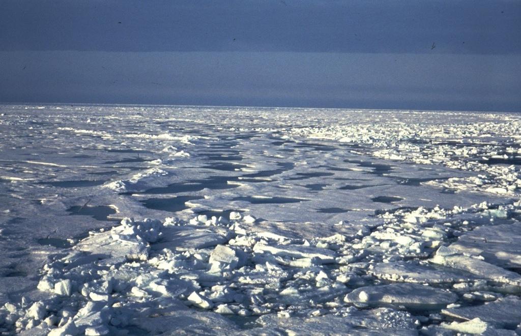 Bedeutung des Meereises Wichtigstes Merkmal arktischer Meere!