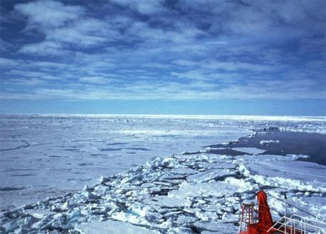 Die Arktis Meereis = gefrorenes Meerwasser