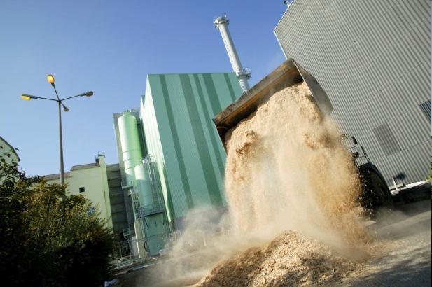 Biogene Festbrennstoffe - Biomasse