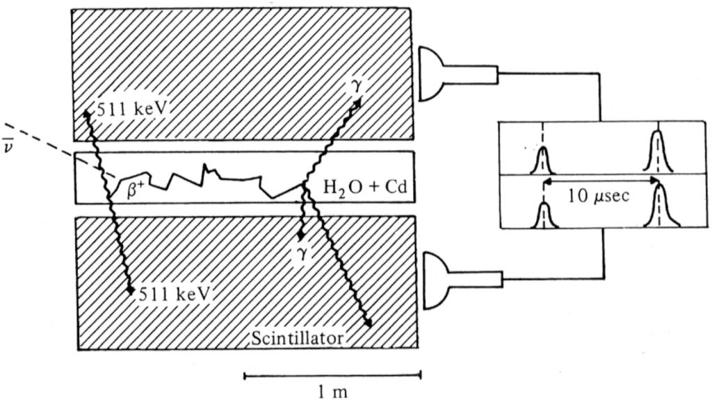 Abbildung 5.13: Entstehung des prompten und verzögerten Signals im Experiment von Cowan und Reimes, 1956 (aus Ref. [?]) Elektron- und Myon-Neutrinos sind verschieden.