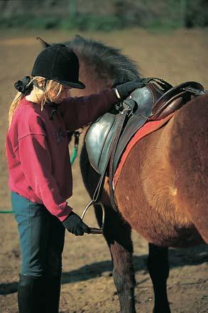 Auf- und Absteigen Wie kommst du überhaupt auf das Pferd hinauf? Zuerst wird der Sattel nachgegurtet, das bedeutet: Er wird stramm angezogen.