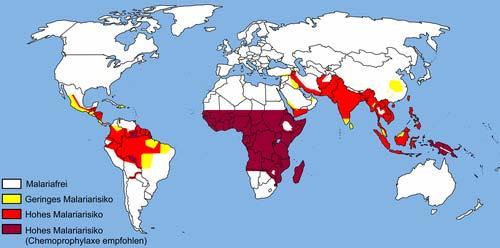 Auswirkungen des Klimawandels - Krankheiten Malaria Vektor: Anopheles Mücke, einzelliger Parasit der Gattung