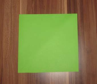 Bastelidee des Monats: Falt-Schildkröte Du brauchst ein quadratisches Blatt Papier.