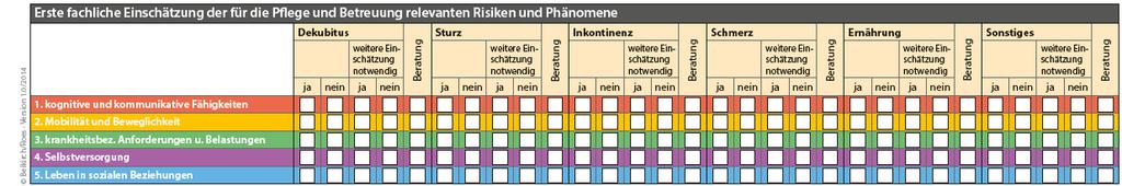 SIS Risikomatrix Die Matrix Risikoeinschätzung wird als wissenschaftbasiertes Initialassessment betrachtet.