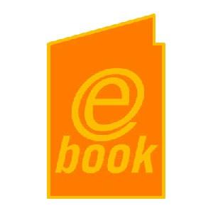 Katalogisierung Primärausgabe E-Book liegt nur elektronisch vor.