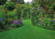 Durch vier Rosenbögen, die aber nur zweimal auch mit Kletterrosen bepflanzt sind, wird der Garten in einzelne Gartenräume eingeteilt.