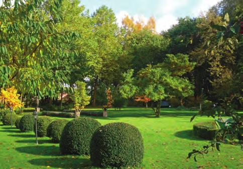 Landschaftsgarten Pethig 9 Garten Hilfer 10 Auf knapp 1,5 Hektar haben wir seit 2009 einen parkähnlichen Garten angelegt, der sowohl alten Baumbestand als auch