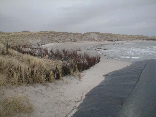 Zu dem Aufgabenumfang der Wasser- und Schifffahrtsverwaltung (WSV) gehört u. a. die Sicherung eines Teilbereiches der Düne Harle Hörn, welche sich im Westen der Insel Wangerooge befindet.