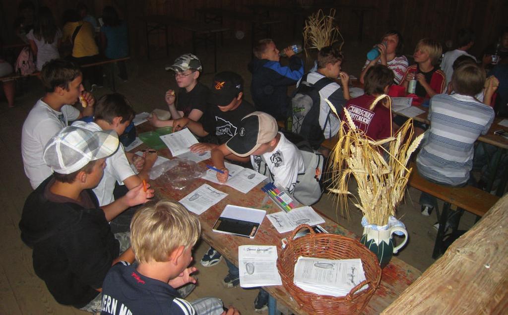 Schönwerth-Ausstellung im Freilandmuseum Neusath-Perschen An einer weiteren Station lernten die Schüler die wichtigsten Getreidearten zu bestimmen und konnten sogleich das erarbeitete Wissen durch