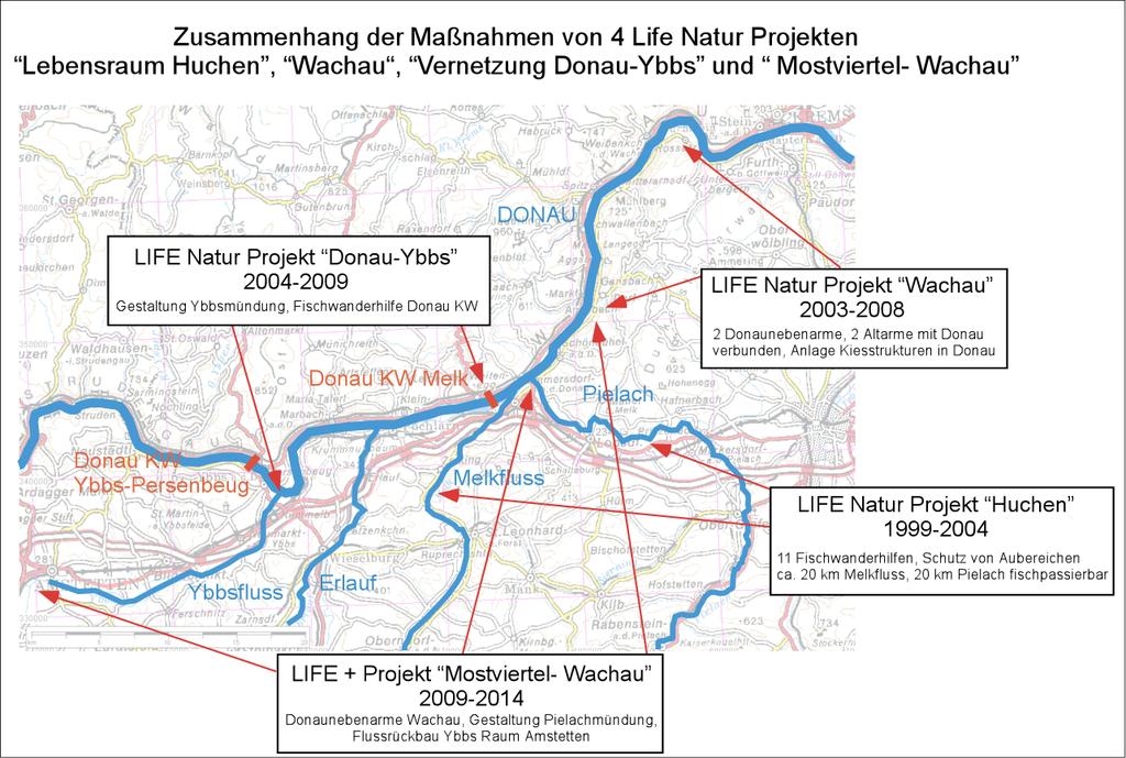 EU LIFE+ Projekt MOSTVIERTEL- WACHAU 15 Jahre LIFE Projekte LIFE+ Projekt Auenwildnis Wachau 2015-2020