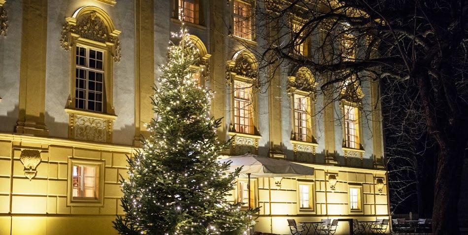 MENÜEMPFEHLUNG IM HOTEL HOFWIRT Geflügelleberterrine mit hausgemachtem Brioche und Gewürzzwetschken Weißes Zwiebelschaumsüppchen mit Zimtcroûtons Rosa gebratene Entenbrust an