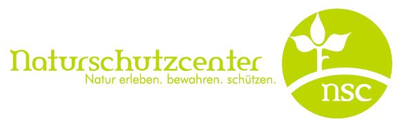 Rieger-Hofmann Saatgutmischung "Schmetterlings- und Wildbienensaum" mit mehrjährigen Wildblumenarten und Gräsern.