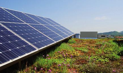 Mit der Entwicklung der Solarbasis erweitert ZinCo die Vorzüge einer Begrünung um einen weiteren Aspekt: die Integration der Solarnutzung in den Dachbegrünungsaufbau.