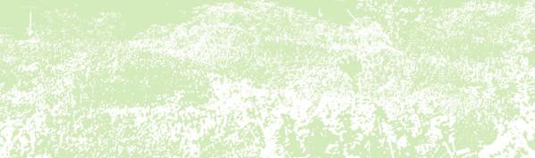 ütenfarbe Blütemonat Sedum album als Art und in Sorten z. B. Coral Carpet Murale Weißer Mauerpfeffer 5 10 5 10 5 10 weiß weiß blass-rosa 6 8 6 8 6 Sedum cauticolum September-Fetthenne 10 15 rosa 8 9 Sedum floriferum Weihenstep.
