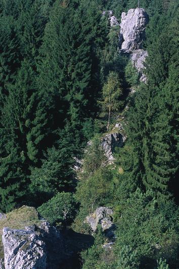 96 Kristallingebiete in Mittel- und Süddeutschland Abb.63: Bayerischer Pfahl. Die Quarzfüllung einer bis über 150km langen Gangspalte überragt (hier am Weißenstein) mauerartig die Landschaft.