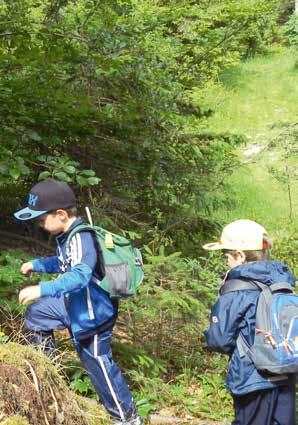 Die Kinder entdecken gemeinsam und bei jeder Witterung den Wald mit seiner Fauna und Flora. 19 Durch den Anbau eines behindertengerechten Liftes (Kosten rund 250.000 Euro, 150.