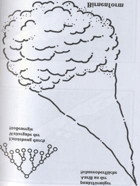 Abb.4 Lockerschneelawine Typisch für Lockerschneelawine ist die Birnenform und ihre Entstehung. Diese erfolg direkt an der Oberfläche und kann durch eine einzelne Schneeflocke passieren.
