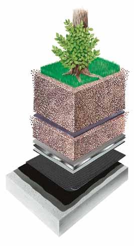 Beton Intensive Begrünung Dachgarten im ungedämmten Verbunddachsystem Substrat für die intensive Begrünung mit Pflanzaufbau VEDAFLOR FV 0